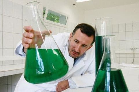 Una lámpara de micro-algas que absorbe tanto CO2 como 150 árboles