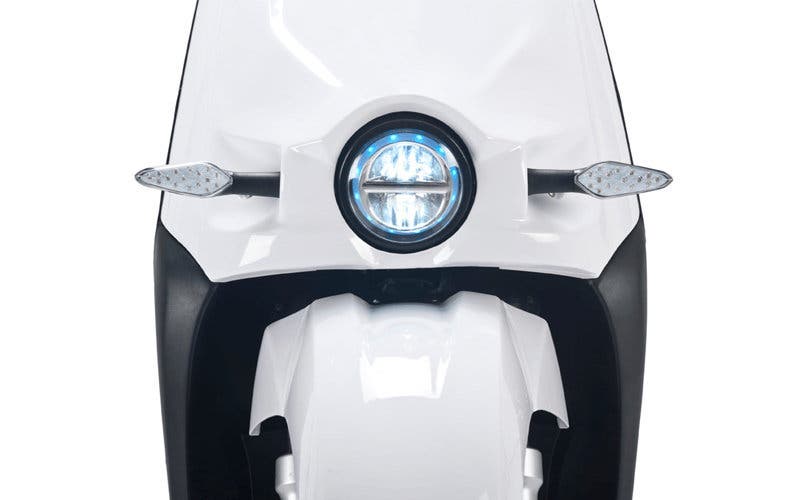 scutum