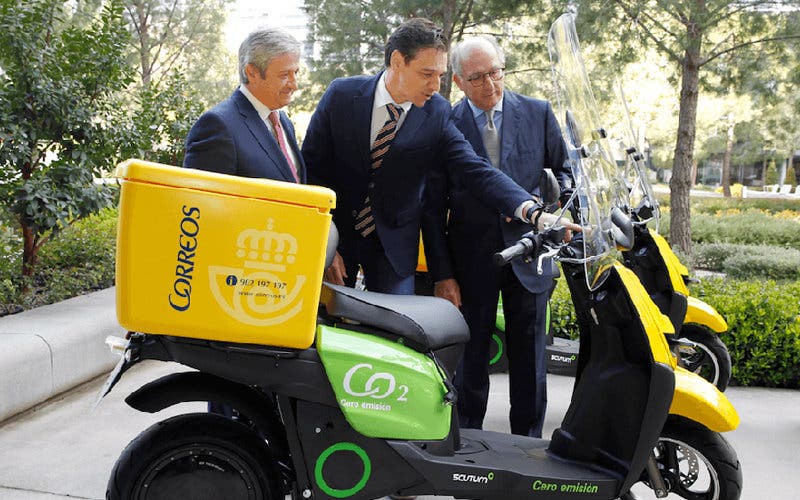scutum