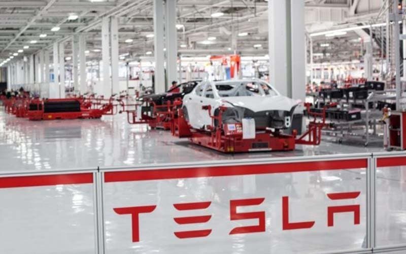 tesla-planta-644x450