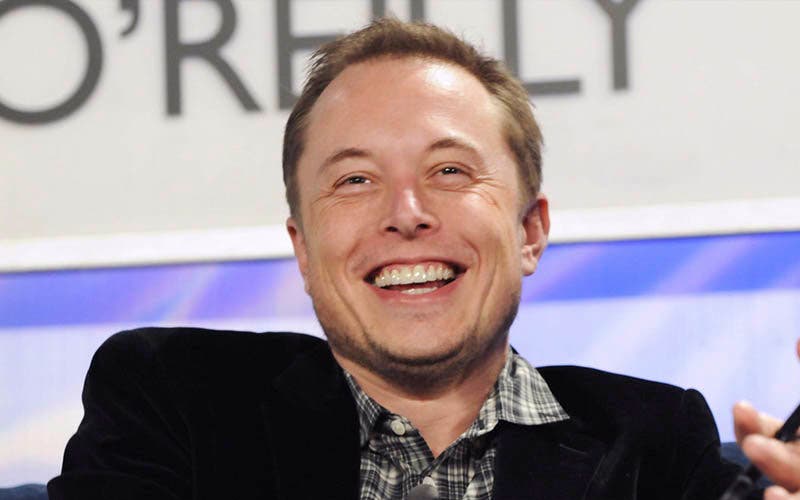 Musk 2