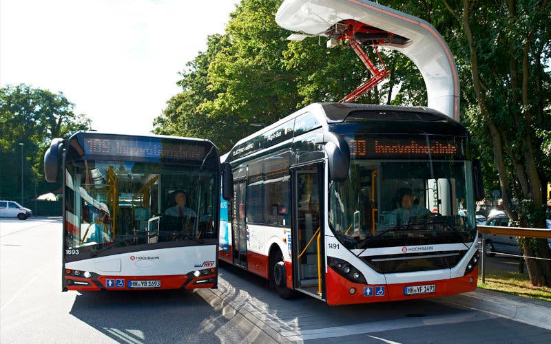 bus