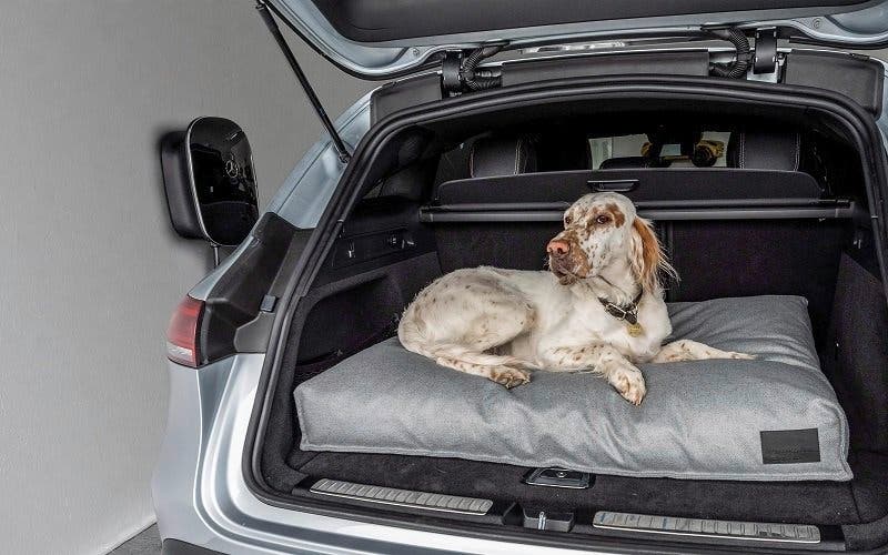 Mercedes-Benz Wallbox, Laden mit bis zu 22kW; Mercedes-Benz Hundekissen von MiaCara® – Bezug abnehmbar und waschbar;EQC 400 4x4, Stromverbrauch kombiniert: 20,8 - 19,7 kWh/100 km; CO2-Emissionen kombiniert: 0 g/km*
Mercedes-Benz wallbox charging with up to 22 kW; Dog’s Cushion from Mercedes-Benz by MiaCara® – removable and washable cover;EQC 400 4x4, combined power consumption: 20.8 – 19.7 kWh/100 km; combined CO2 emissions: 0 g/km*