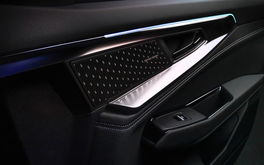 Renault Austral panel de la puerta