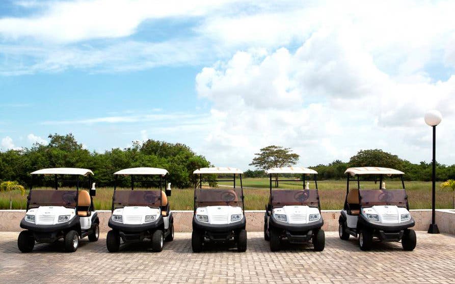 buggies