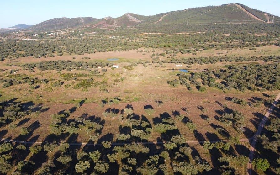 Dehesa de Las Navas, cerca de municipio de Cañaveral.