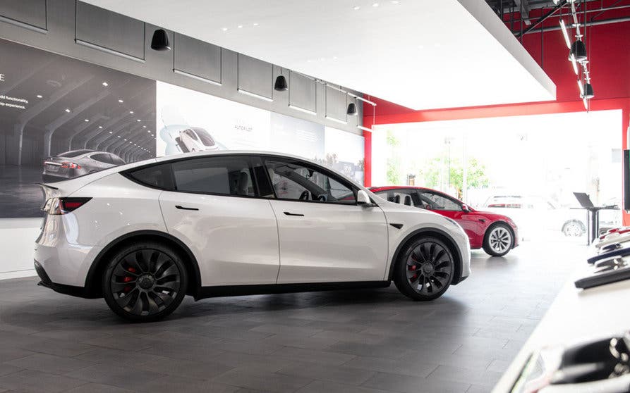 tesla-model-y-showroom