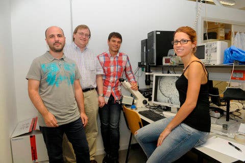 Cientificos españoles producen hidrógeno mediante luz solar