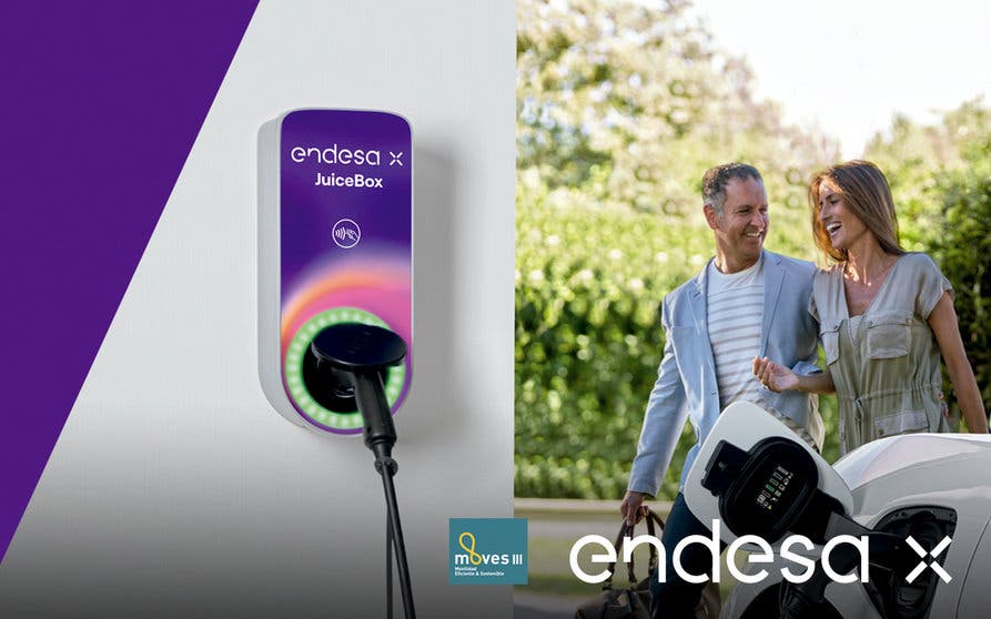 endesax