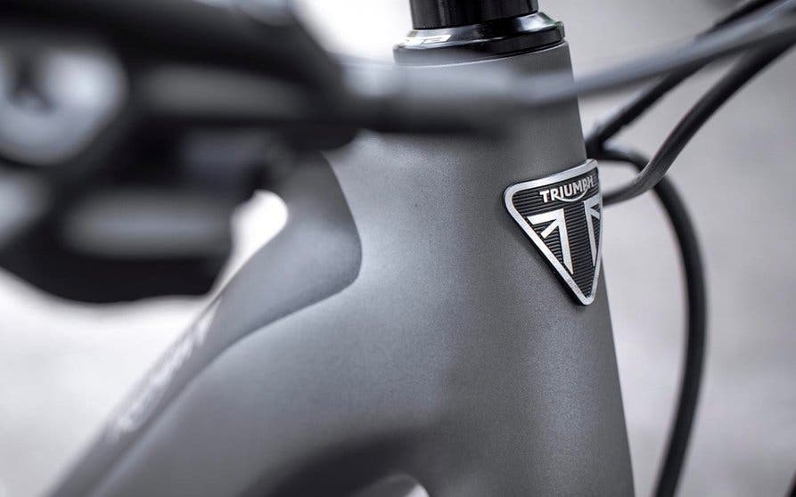 e bike triumph