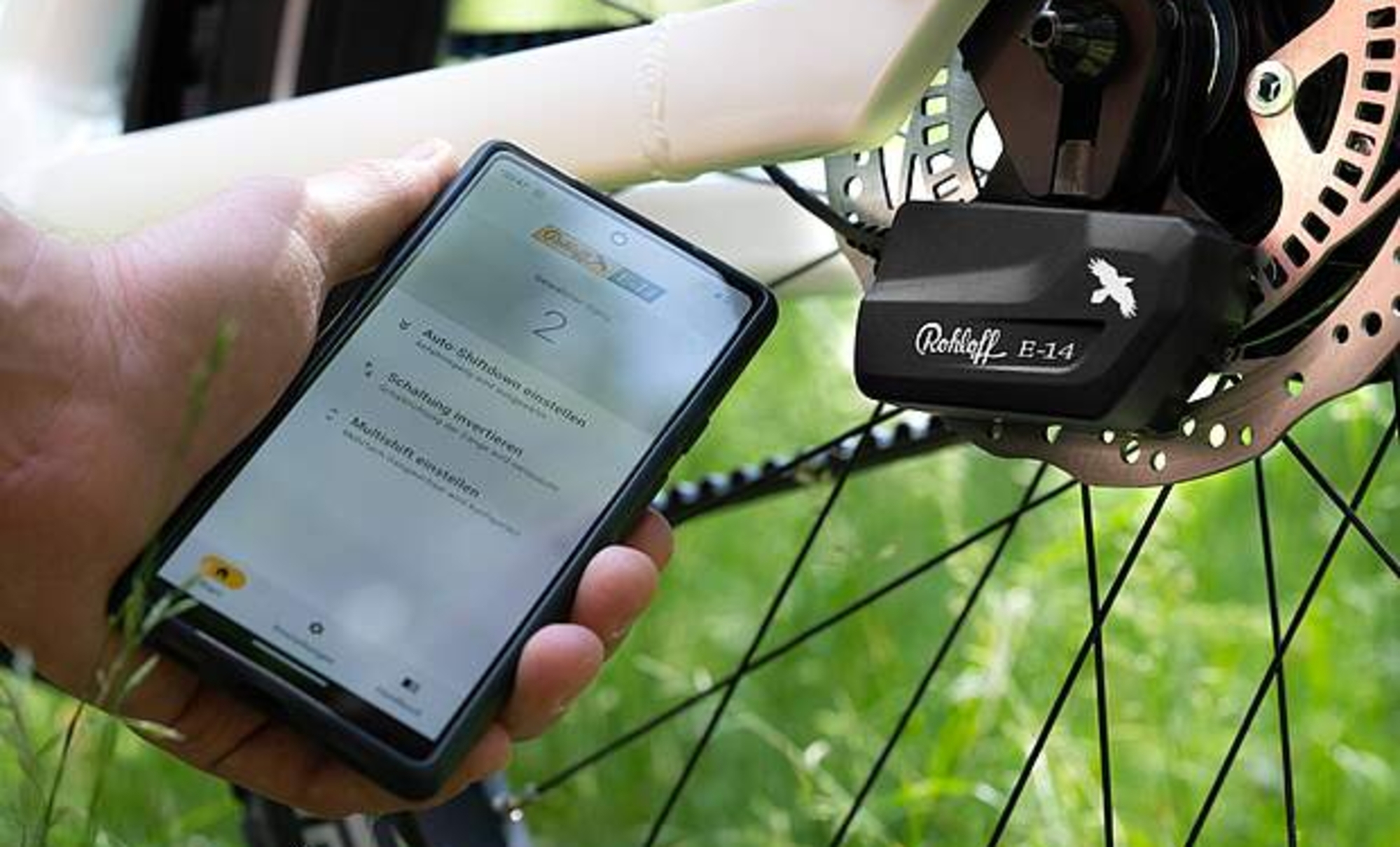Cambio Rohloff Speedhub E14. Cambio Rohloff Speedhub E14.