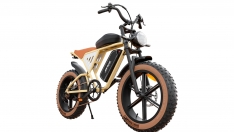 JANSNO Fatbike 20"