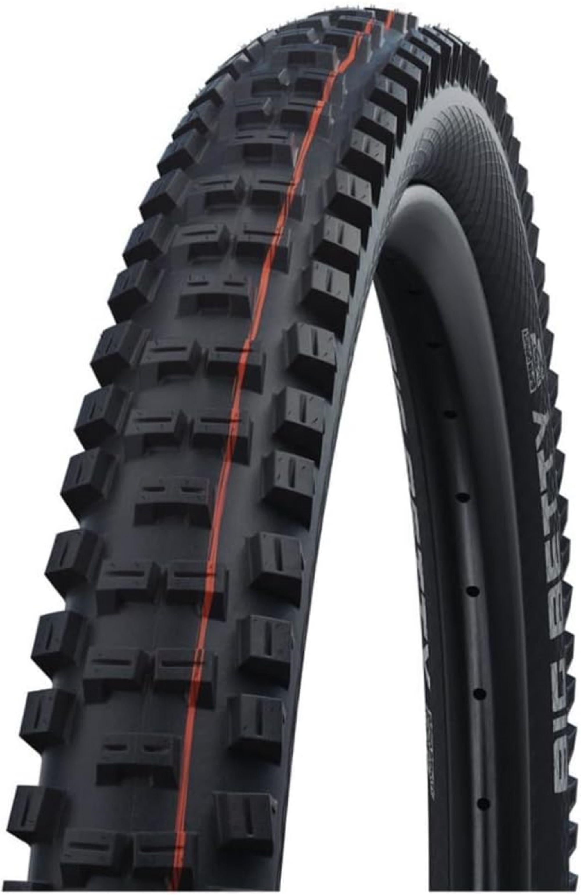 Schwalbe Big Betty EVO. Schwalbe Big Betty EVO.