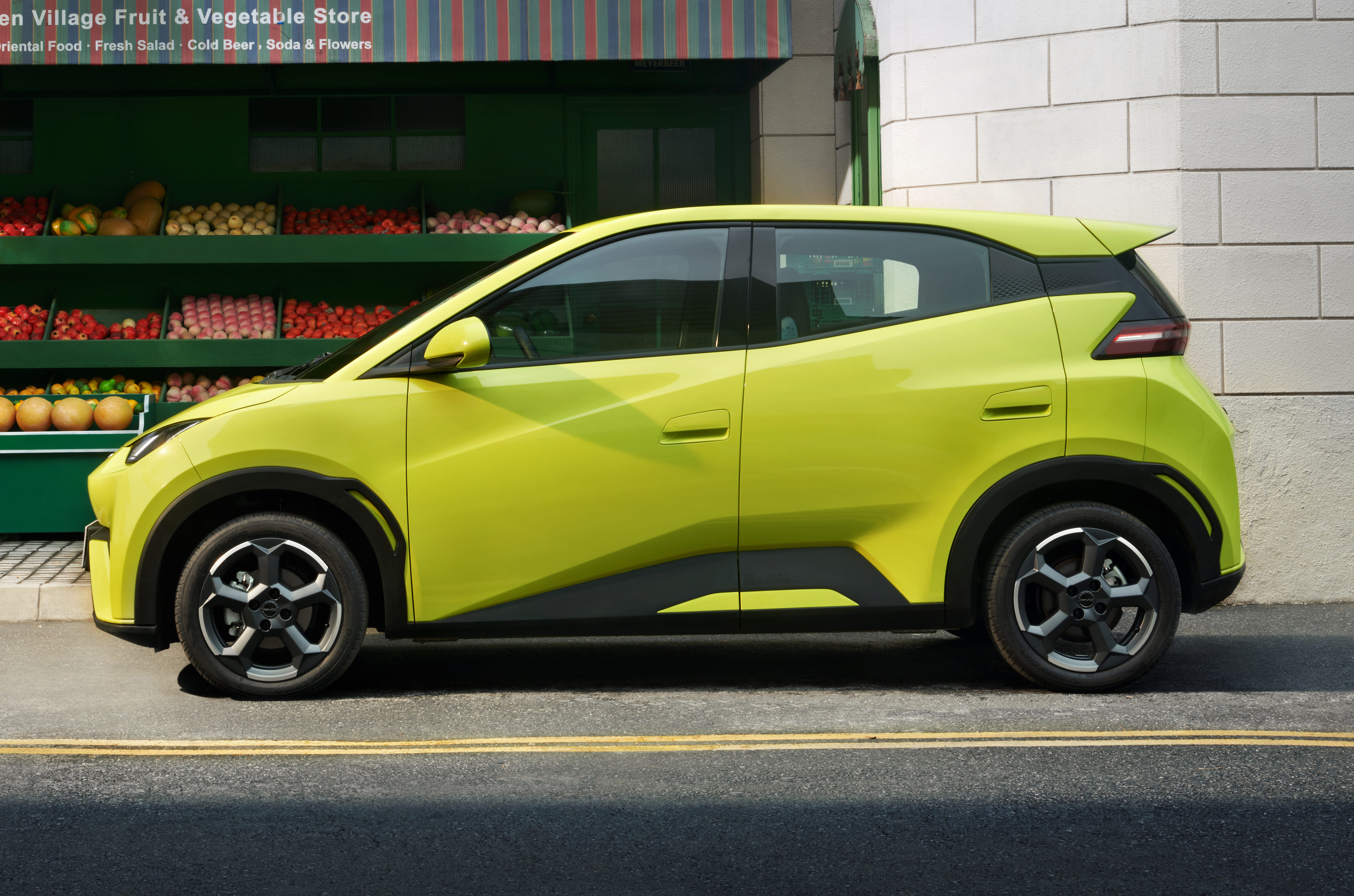 BYD Dolphin Surf