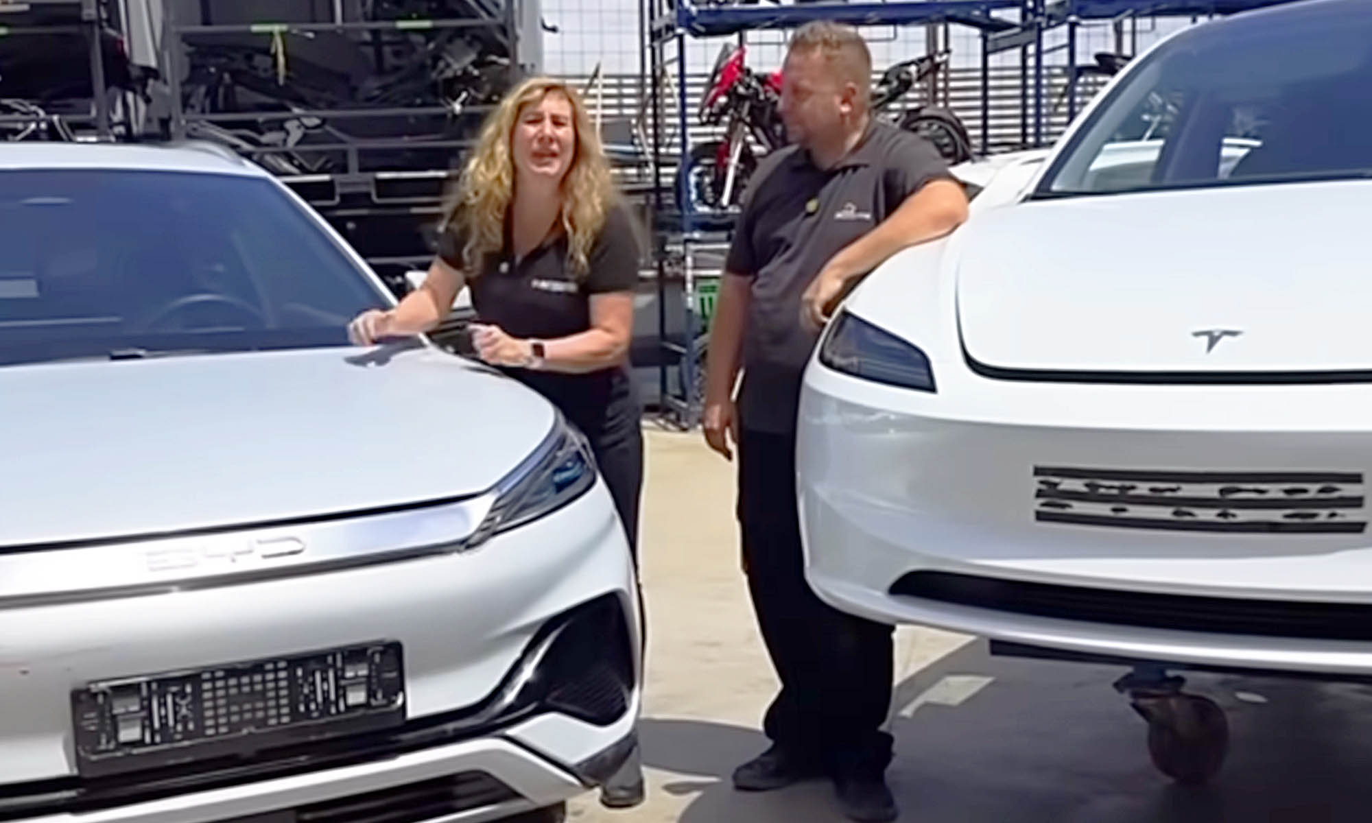 BYD vs Tesla