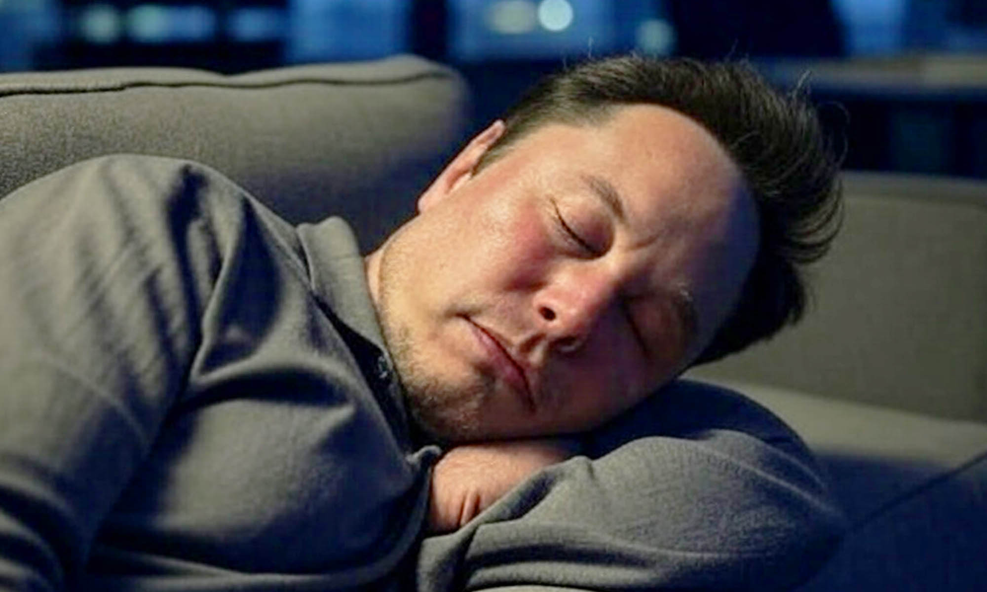 elon musk tesla donald trump 2 elon musk tesla donald trump 2