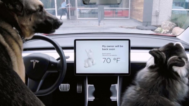 Tesla Modo Perro mecanico da respuesta pregunta más imporante Tesla Tesla Modo Perro mecanico da respuesta pregunta más imporante Tesla