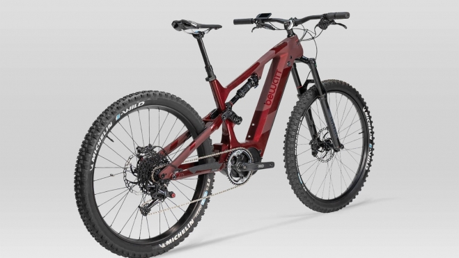 mountain wolf bewatt 1 mountain wolf bewatt 1