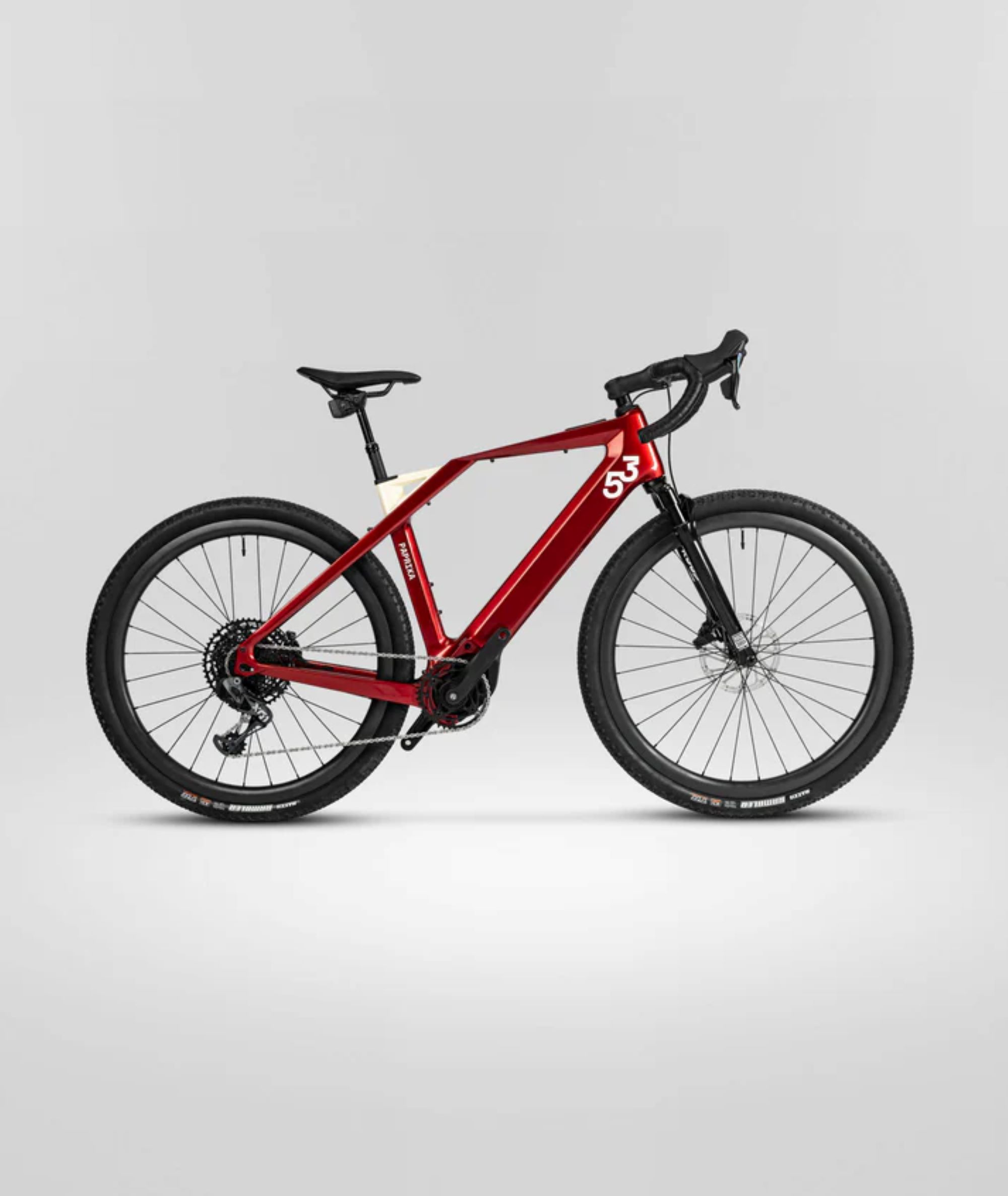 Esta bicicleta eléctrica de gravel tiene un motor con 120 Nm de torque y 1.000 W de potencia.