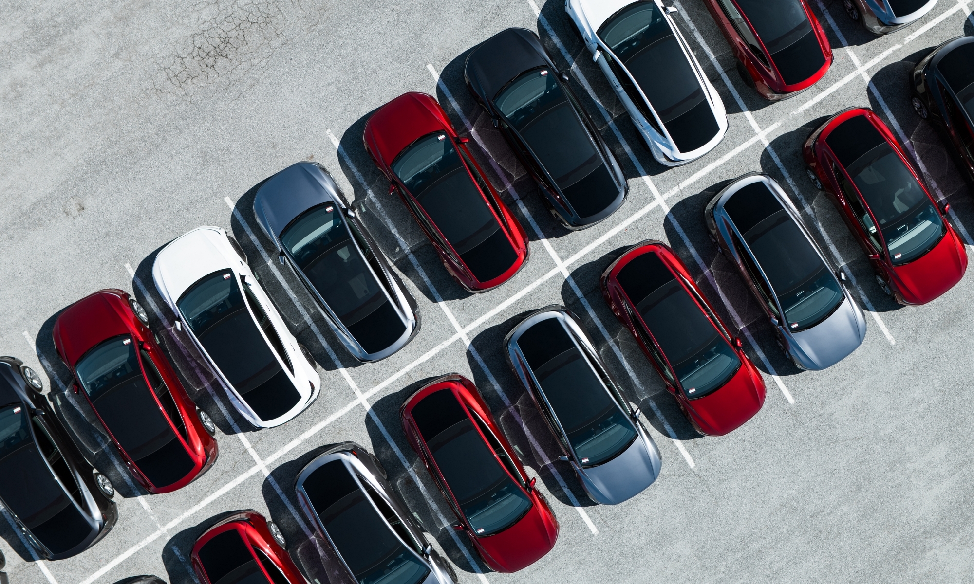Tesla asegura haber empezado ya con la producción.