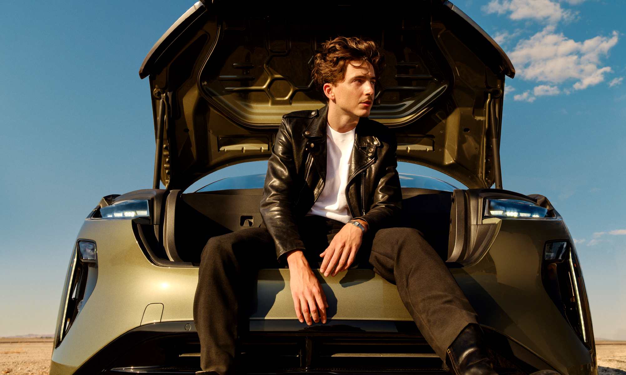 Timothée Chalamet