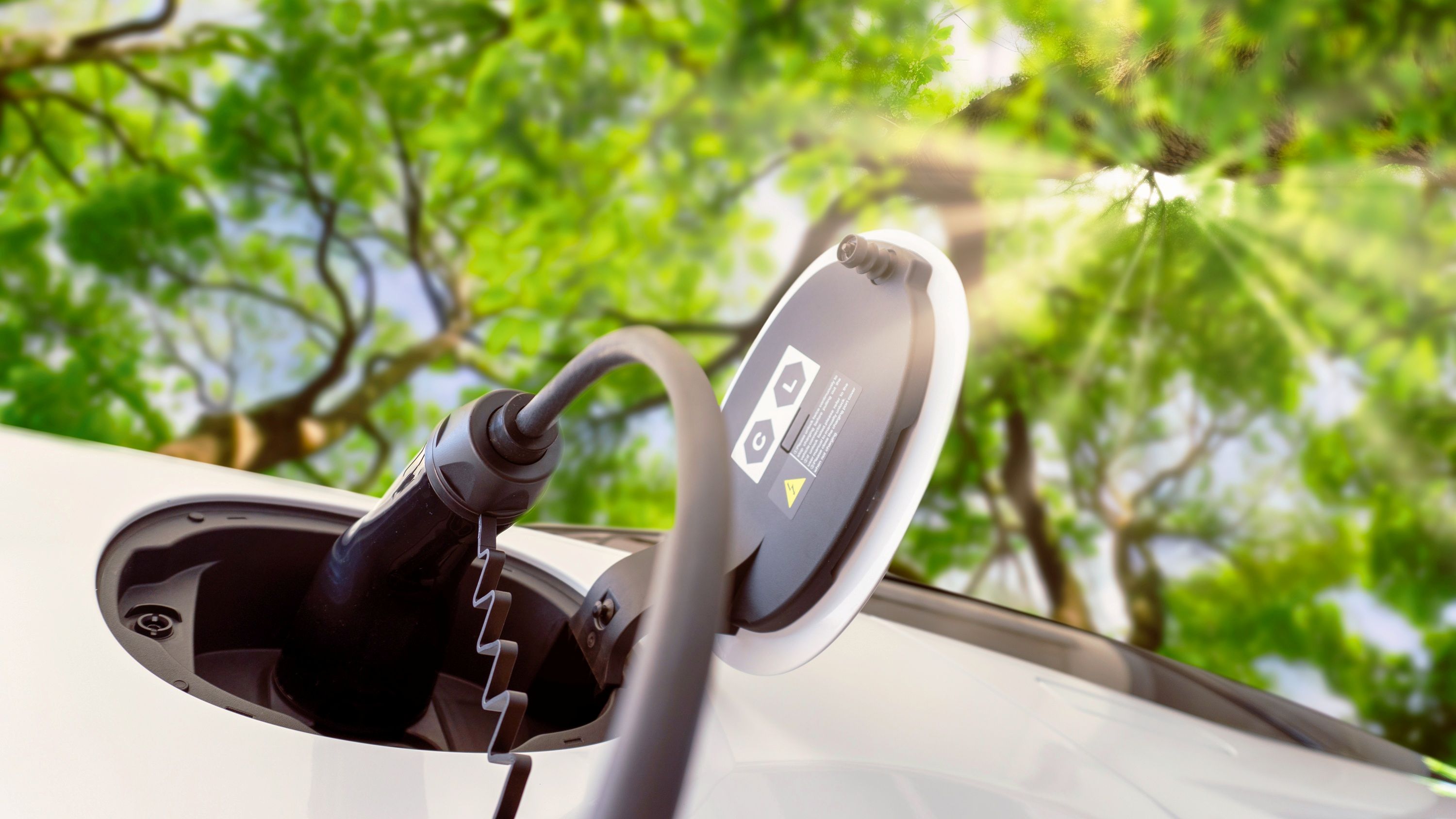 La electrificación de la movilidad es un paso clave para el futuro económico del país.