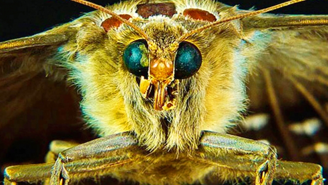 naturaleza paneles fotovoltaicos recarga coches electricos 3