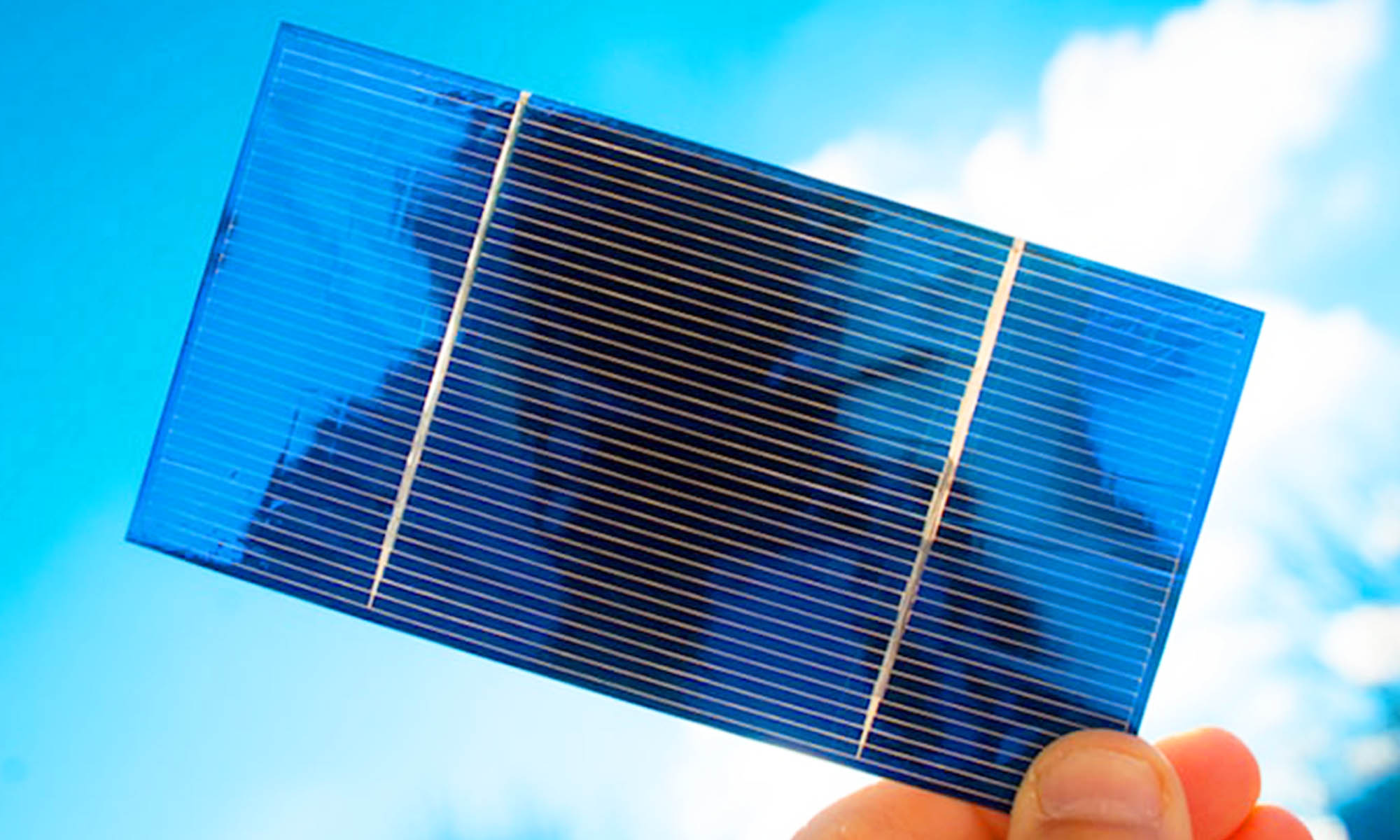 naturaleza paneles fotovoltaicos recarga coches electricos 2