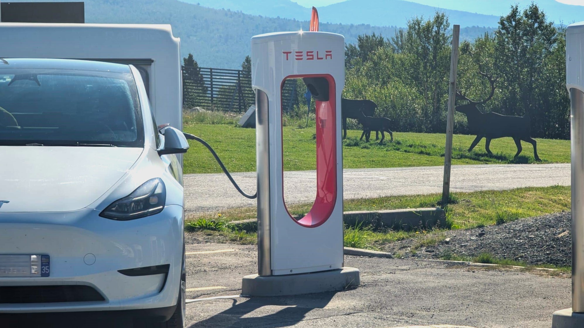 7.000 km gasolina por 558 € Tesla Model Y caravana Europa problema (1)