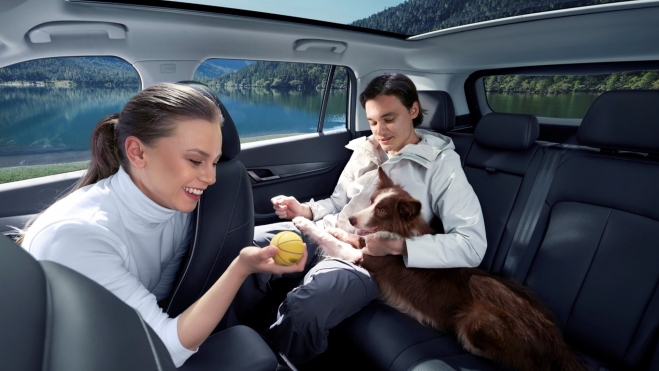 JAECOO 5 402 km de autonomía, SUV eléctrico JAECOO favorito perro, gato a la venta en España (2)