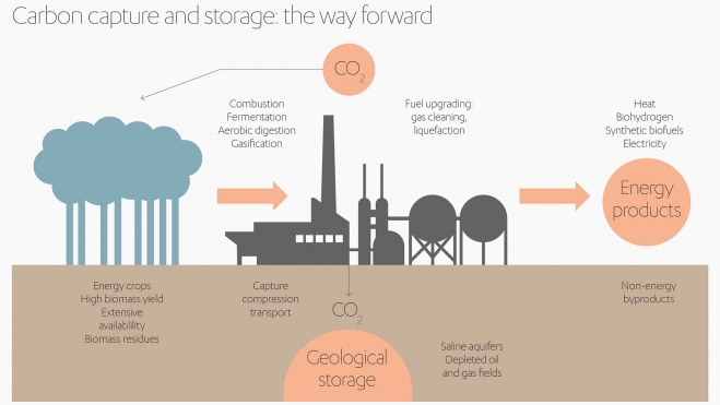premio nobel quimica 2025 captura carbono 2