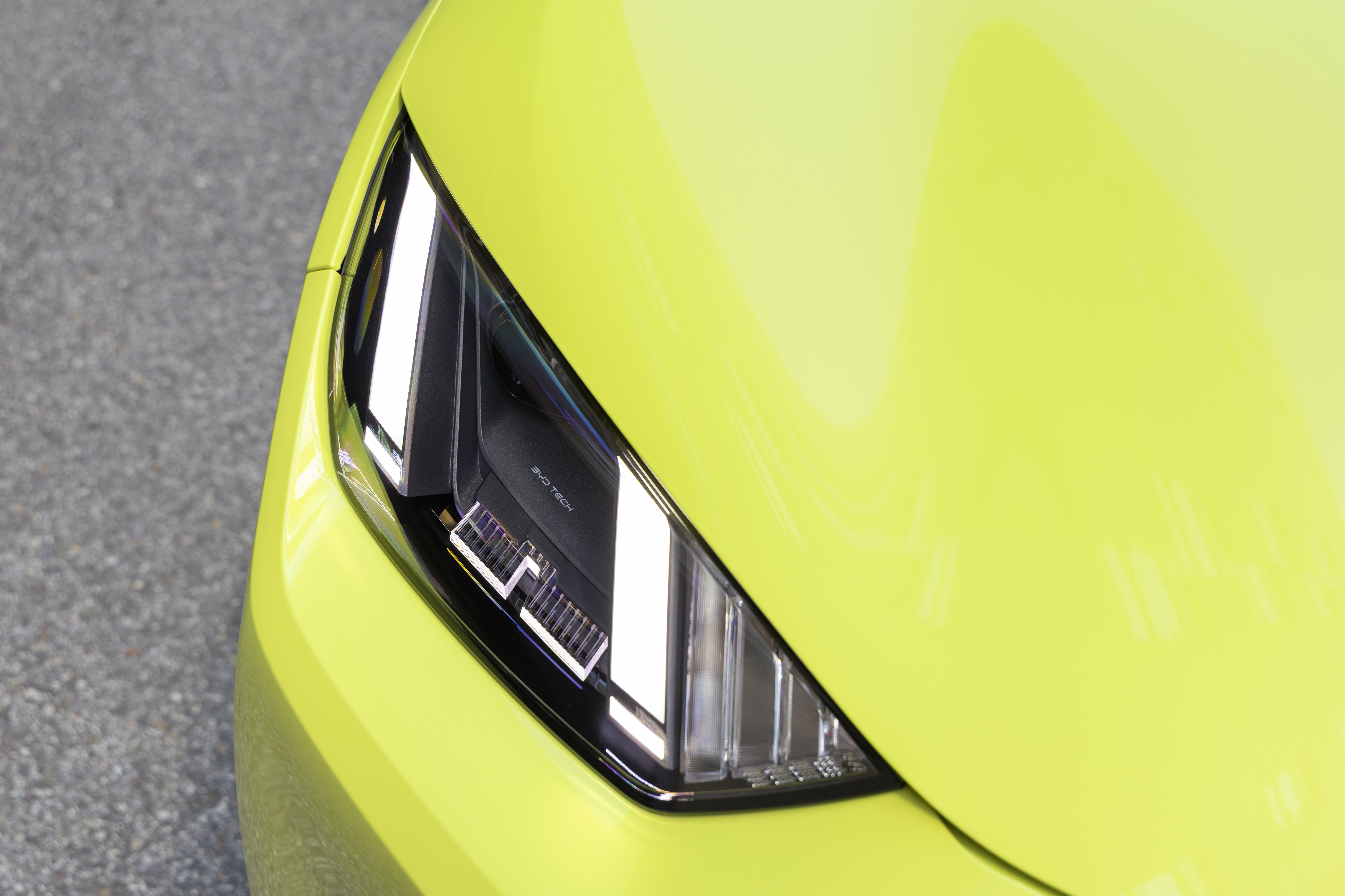 DOLPHIN SURF Lime Green Detalles (2)