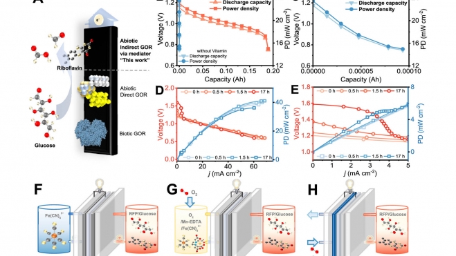 bateria coches electricos vitamina b2 y azucar 2 bateria coches electricos vitamina b2 y azucar 2