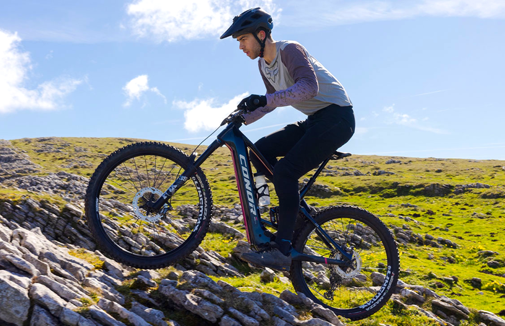 iza banners2 730px iza banners2 730px