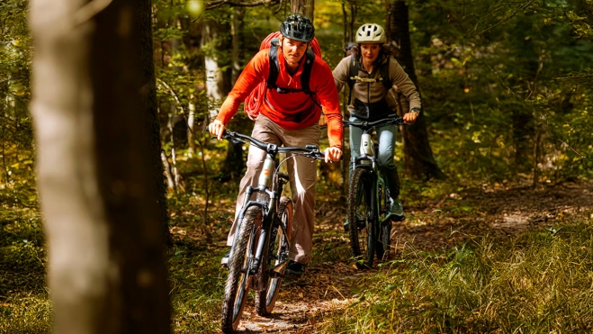 focus jarifawebstie pictures slider 1200x800 1 1