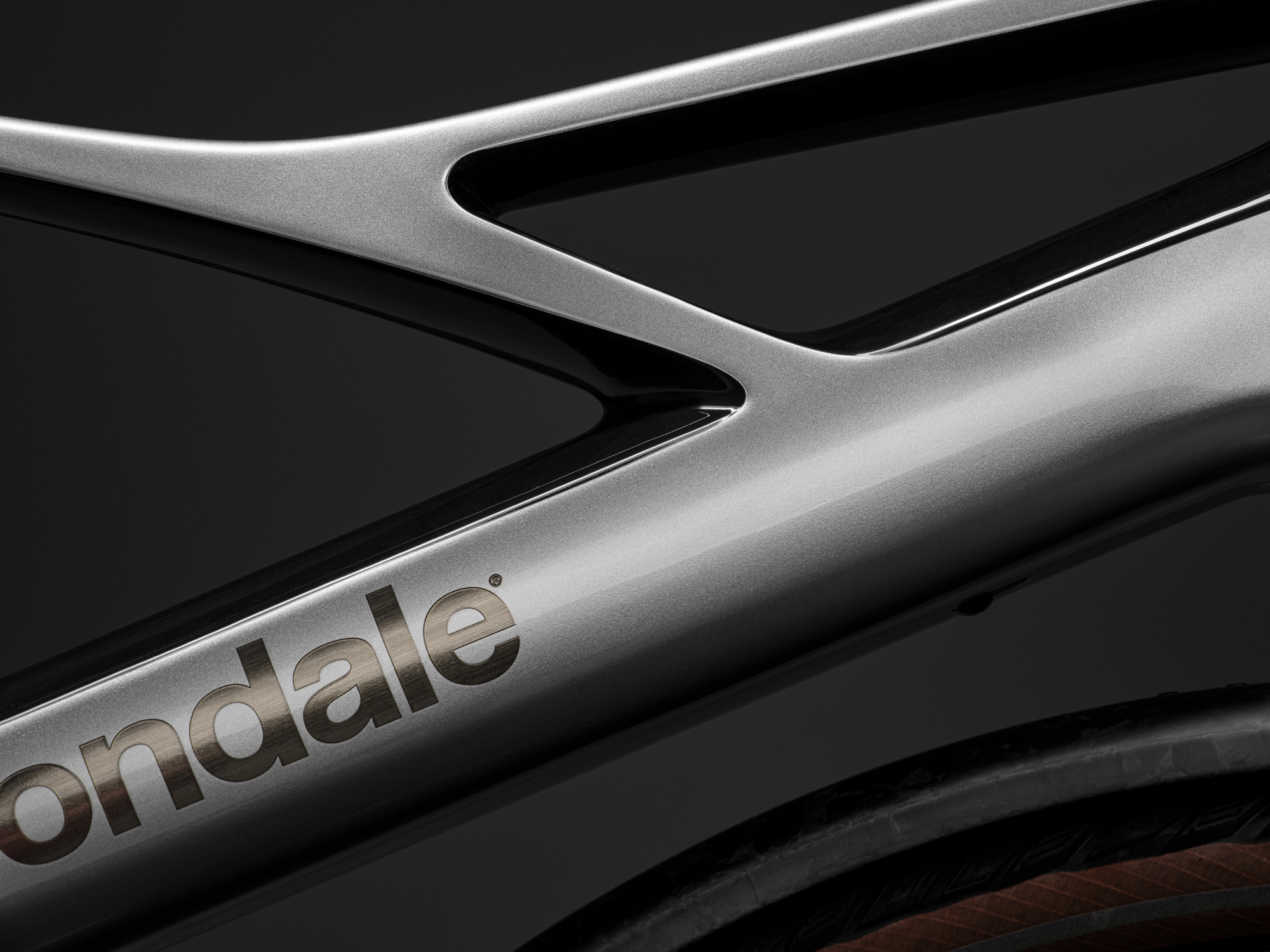 Cannondale FlyingV 1 SLV Beauty Photography (5)