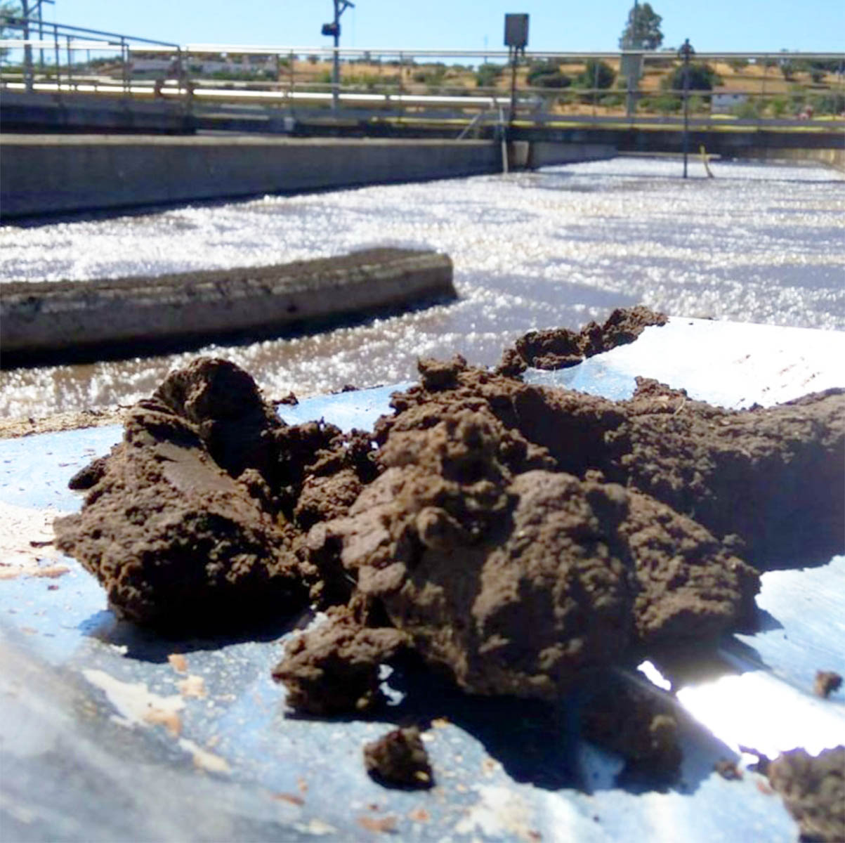 lodo depuradora bateria azufre coche electrico 2