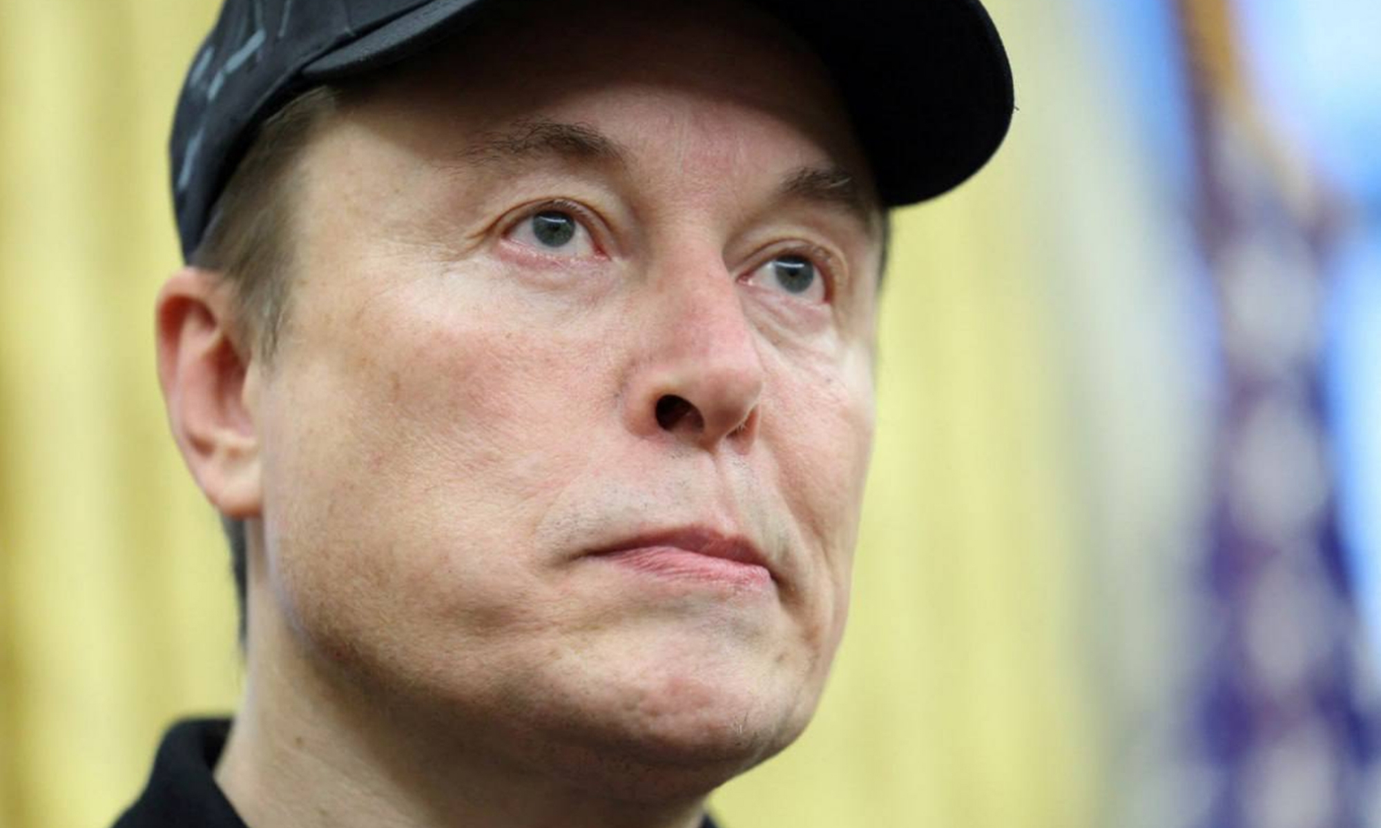 elon musk admite ninguna fabricante coches quiere tesla full self drinving conduccion autonoma 2