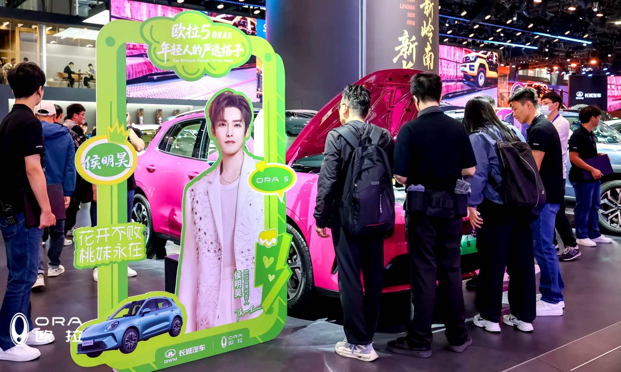 coches electricos chinos