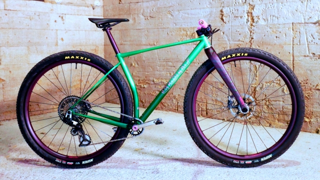 559558696 1218827486936916 9002722888232727218 n