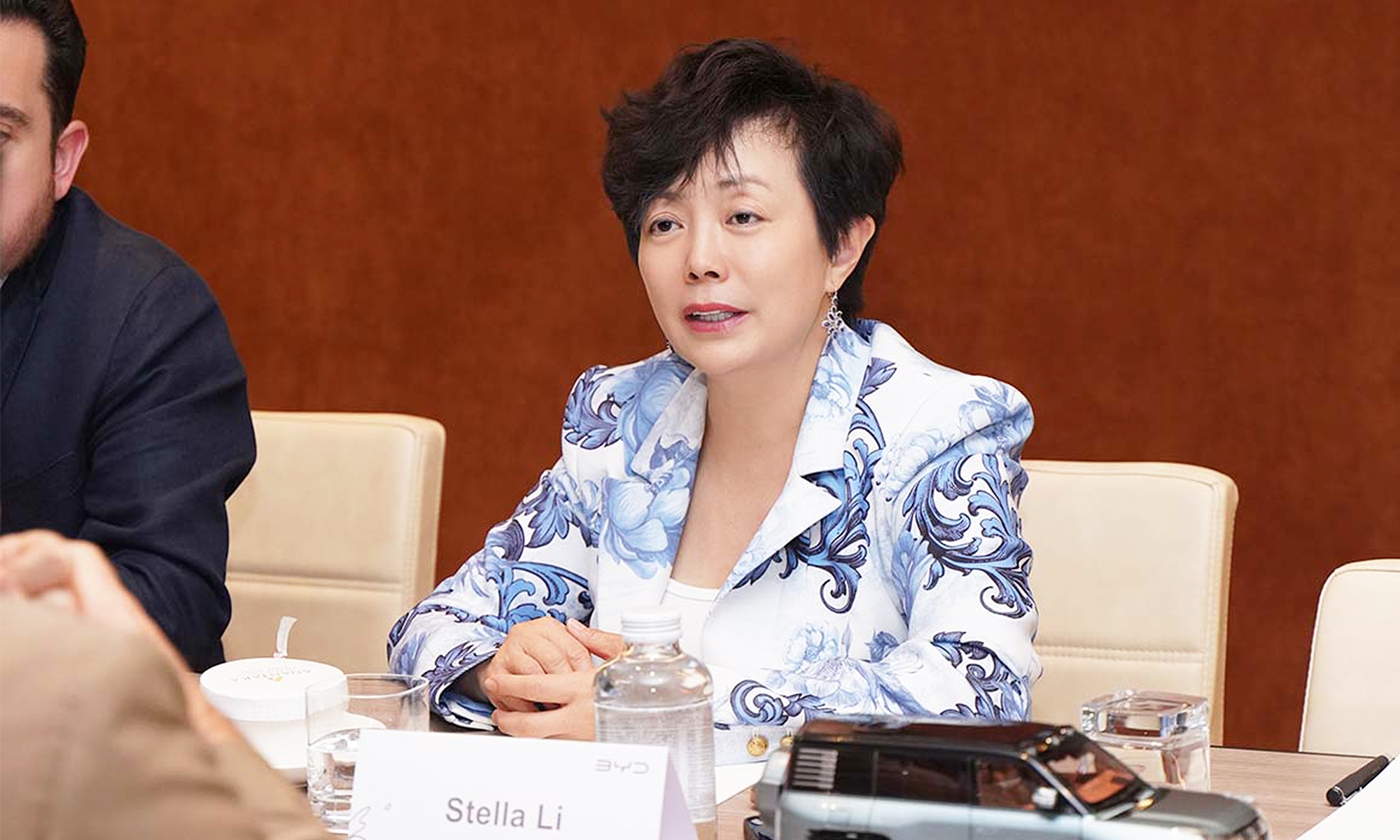 stella li vicepredisenta byd dice tesla tiene mismo enemio comun 1