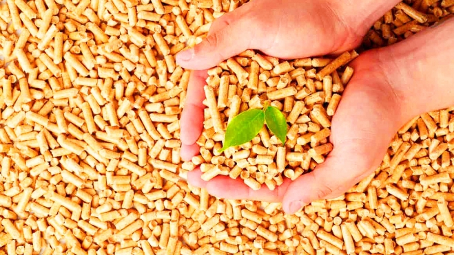 union europea biocombustibles biodiésel soja 3