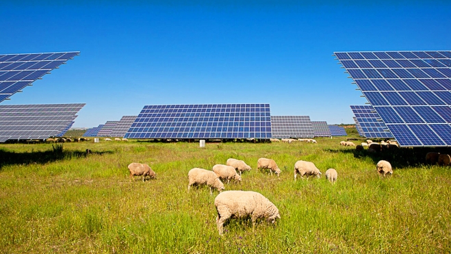 causas apagon españa encuesta energias renovables 2