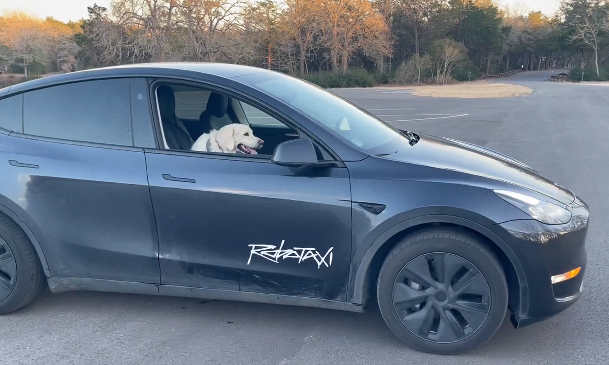 elon musk promete robotaxis no puedo fabricar 2