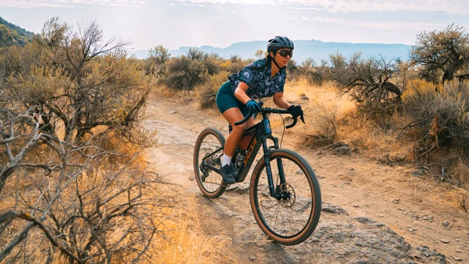 SAL Carousel 2 Wanderosa