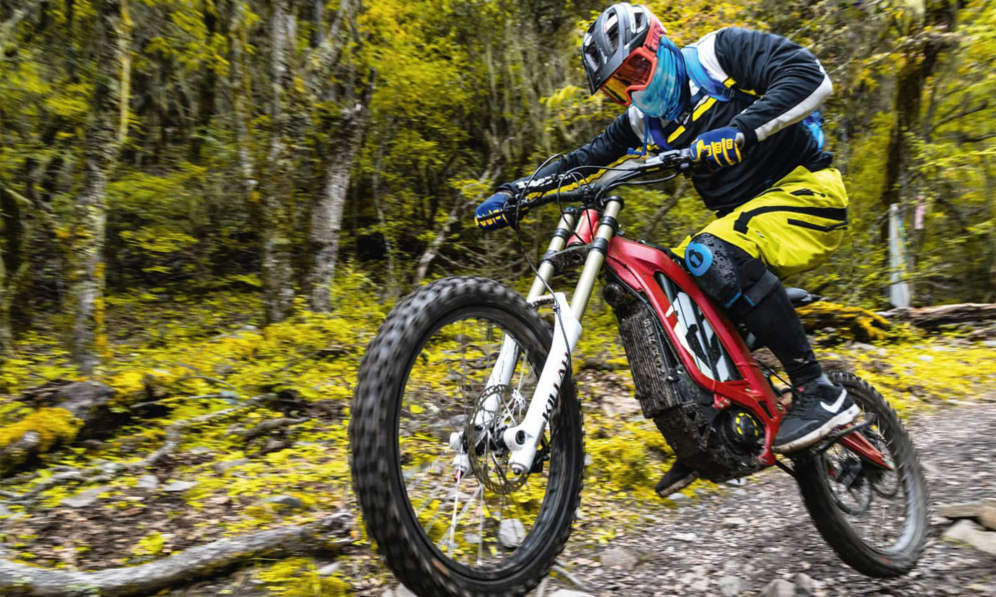 sur ron gana demada millonaria copia china talaria 1