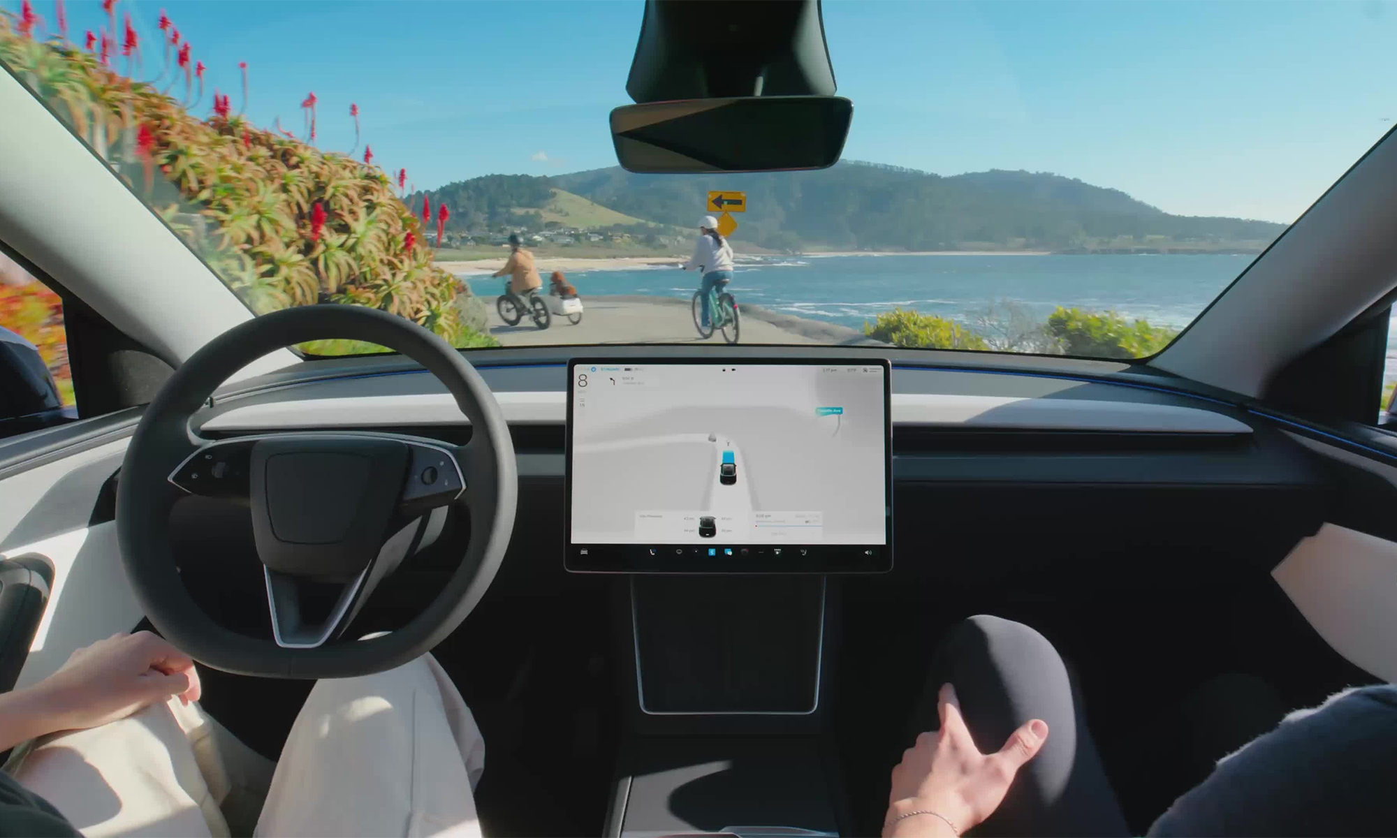 tesla full self driving error entrada lago video viral 1
