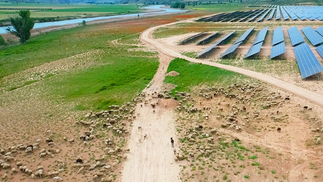 plantas fotovoltaicas guadalajara 2