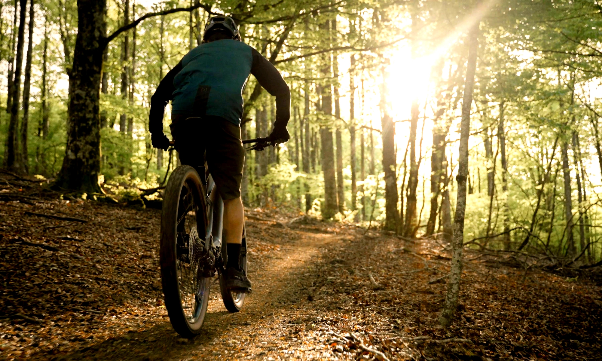 Estas 10 bicicletas eléctricas que traemos son perfectas para evadirnos en el campo (Foto: Orbea)
