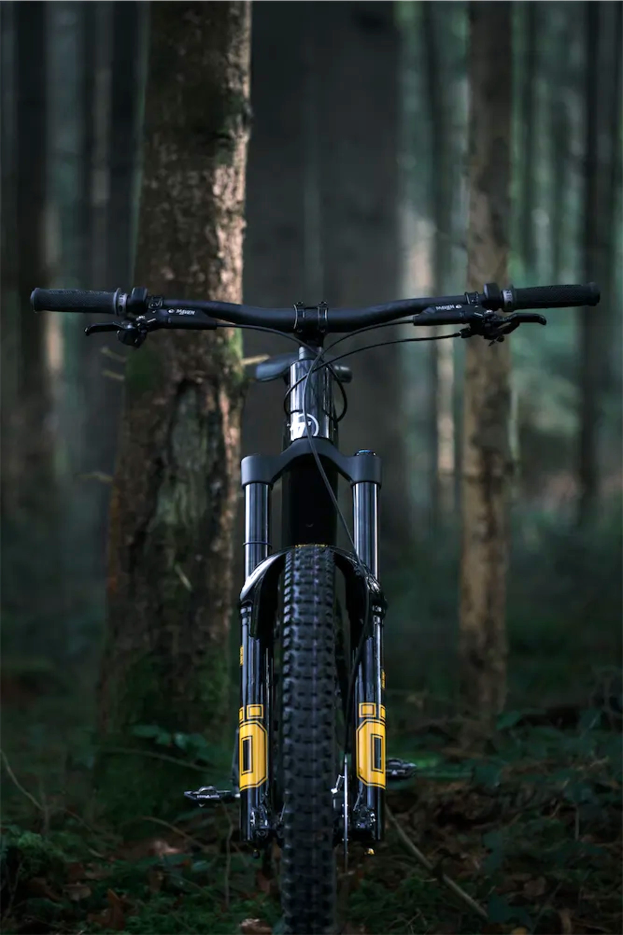 hThNTtYscJqZj4v1QpR19HP6imk